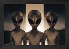 Listing image for Alien Encounter Framed Wall Art Poster Canvas Print Picture
